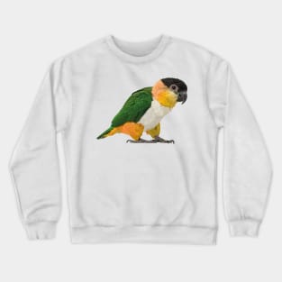 black headed caique Crewneck Sweatshirt